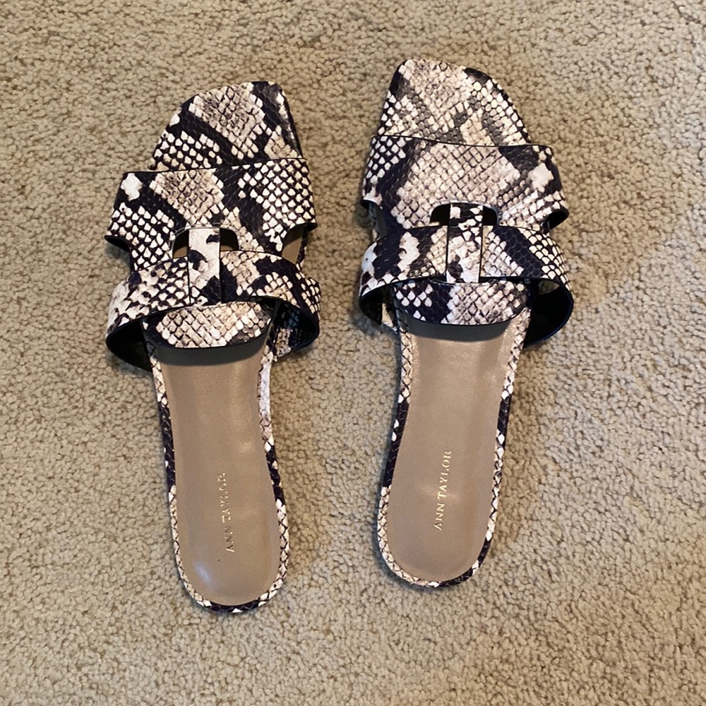 Ann Taylor Snake skin sandals